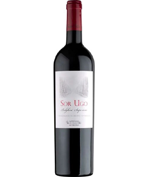 AIA VECCHIA SOR UGO BOLGHERI SUPERIORE - 750ML