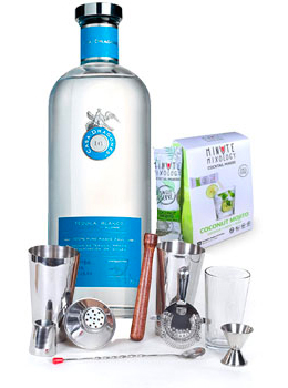 COCKTAIL MIX KIT WITH CASA DRAGONES