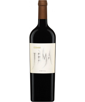 GERARDO CESARI JEMA CORVINA VERONESE IGT - 750ML