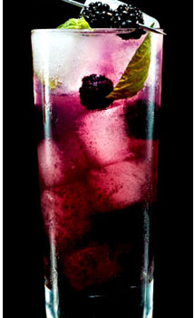 1877SPIRITS RASPBERRY-MILLS MIXOLOGY