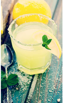 1877SPIRITS DON JULIO MARGARITA MIX